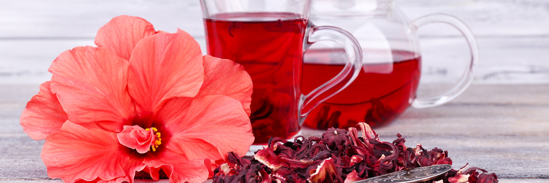 Hibiscus Tea Recipe: Complete Guide to Making, Customizing & Selling Hibiscus Tea at Home