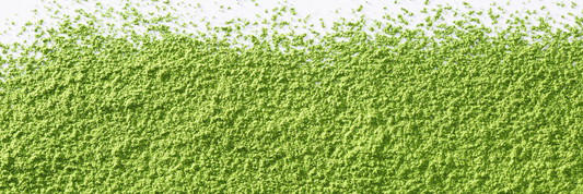 History of Matcha: Origins, Rituals, and Global Rise