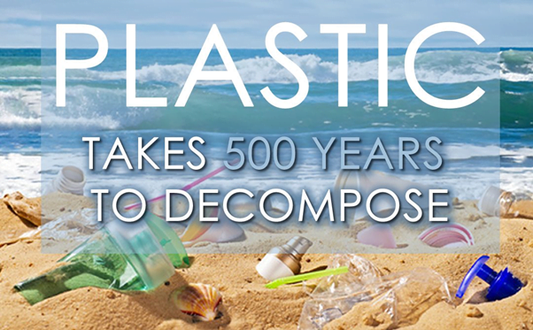 How Long Does It Take for Plastic to Decompose? – Breakdown Timeline & Sustainable Alternatives