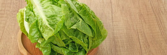 How Long Does Lettuce Last? Complete Shelf Life & Storage Guide