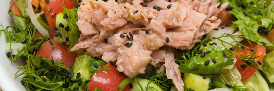 How Long Does Tuna Salad Last? Storage, Shelf Life & Food Safety Guide