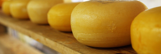 How Restaurants Can Keep Their Cheese Fresh
