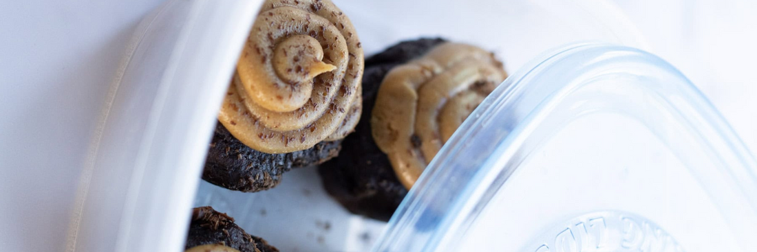 How to Freeze Cupcakes: Step-by-Step