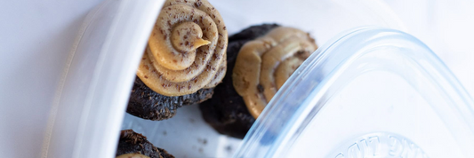 How to Freeze Cupcakes: Step-by-Step