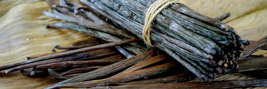 How to Grow Vanilla