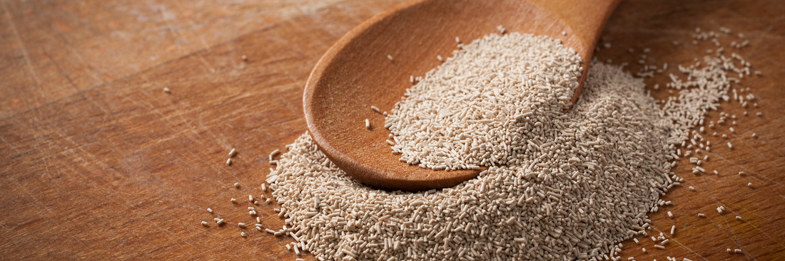 Instant Yeast: Quick Guide for Baking Perfect Bread