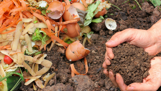Understanding and Instructions for Composting at Your restaurant