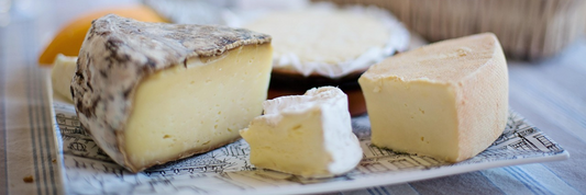Is Parmesan Cheese Healthy