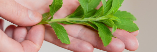 Is Stevia Healthy? Benefits, Risks, and What Science Really Says