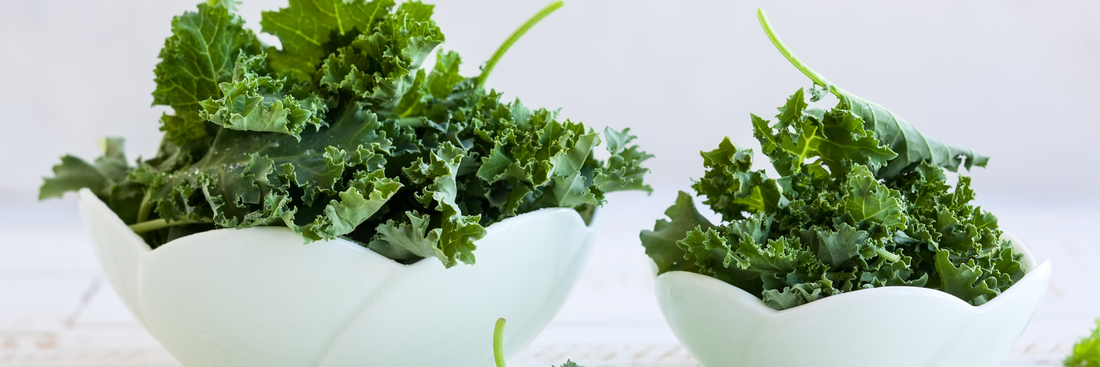 Kale Powder: Benefits, Nutrition, Uses & The Complete Guide