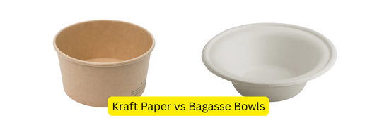 Kraft Paper vs Bagasse Bowls: Which is Better for Your Business?