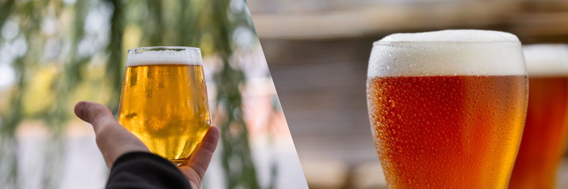 Ale Key Lager vs Ale – Key Differences & Sustainable Bar Tips – KimEcopak