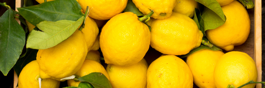 What Is Lemon Powder? A Complete Guide to Benefits, Uses and How to Choose