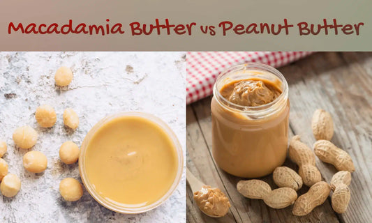 Macadamia Nut Butter vs Peanut Butter: Nutrition, Taste & Health Benefits