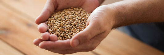 Malt Powder: Types, Uses, Benefits, Baking Tips