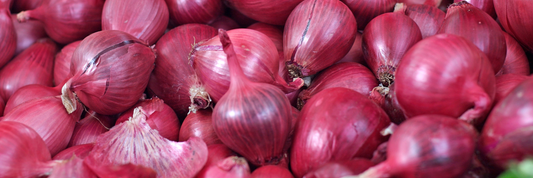 Onion Powder: The Ultimate Guide to Uses, Nutrition, and Recipes
