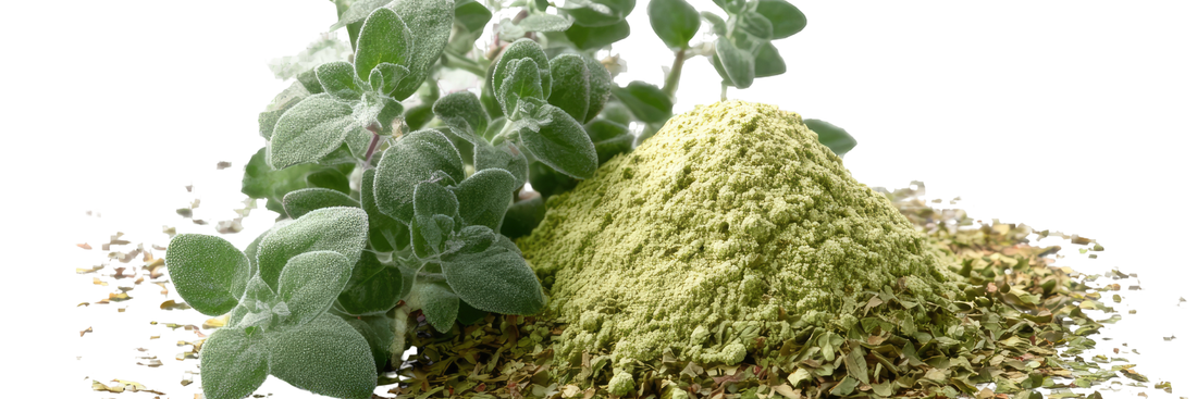 Oregano Powder: Taste, Nutrition & How to Choose the Best