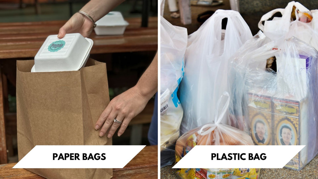 Paper Bags vs Plastic Bags: Which is Better Choice for Business?