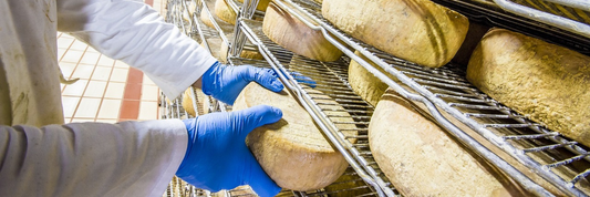 Pecorino Cheese