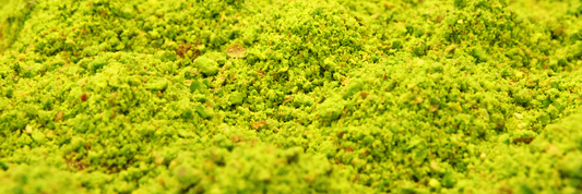 Pistachio Flour: Benefits, Uses, Nutrition & How to Make It