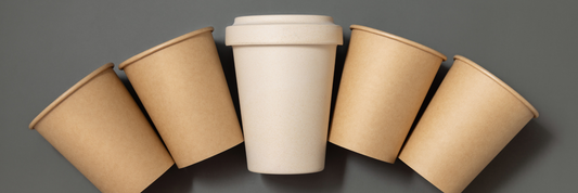 Plain Samples vs Custom Packaging Samples: Everything You Need to Know