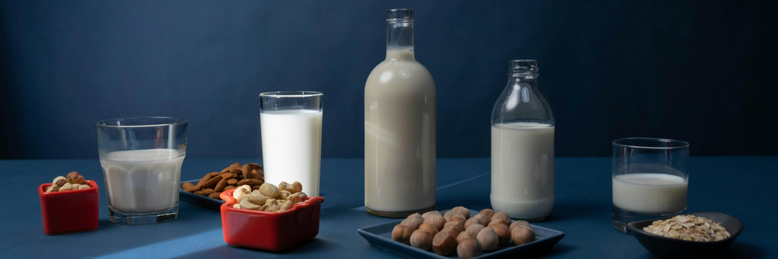 Plant-Based Milk Alternatives for Coffee