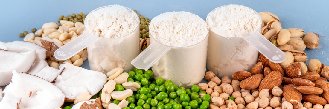 Top Plant Protein Powders to Boost Your Workouts