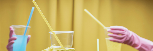 Plastic Straw Alternatives: Eco-Friendly Options for Every Sip