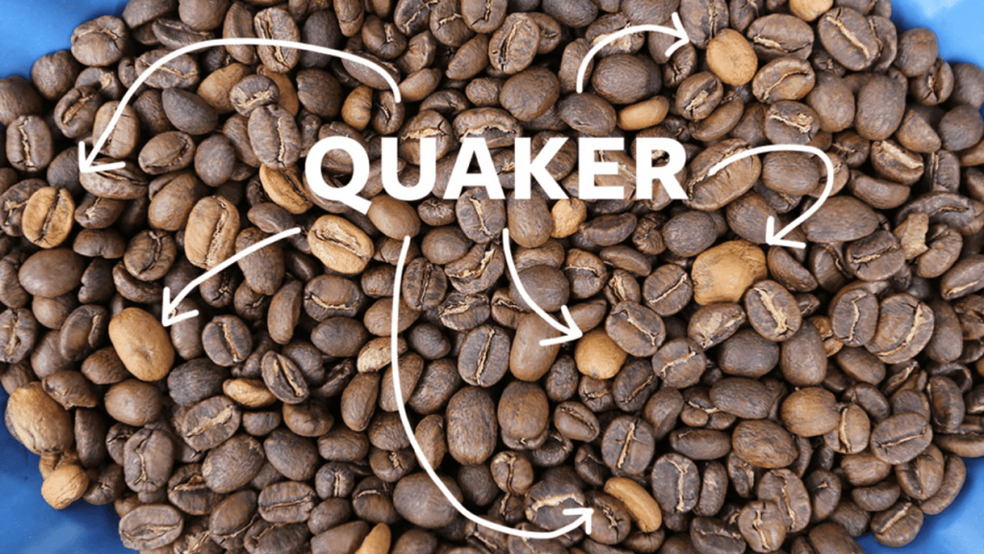 What Is Quaker Coffee Beans? How To Avoid Quaker Coffee Beans? – KimEcopak