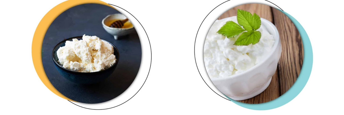 Ricotta vs Cottage Cheese 