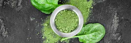 Spinach Powder: Benefits, Nutrition, Uses, and Complete Guide
