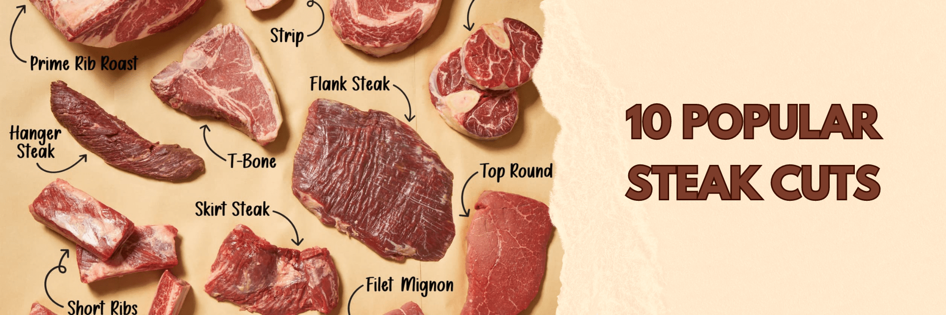Stake Types Understanding Steak Cuts - A Comprehensive Guide for Chefs – KimEcopak