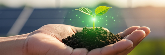 Sustainability Marketing: How to Promote Your Green Practices Without Greenwashing
