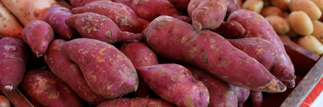 Sweet Potato Powder: Benefits, Uses & Recipes (Best 2025 Guide)