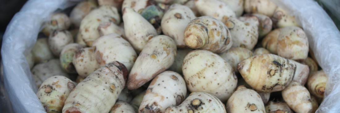 Taro Packaging for Canadian Food Businesses