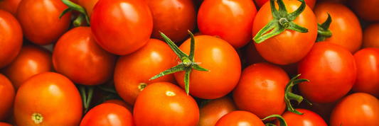 Tomato Powder: Benefits, Nutrition, Uses, How to Make, and Buying Guide