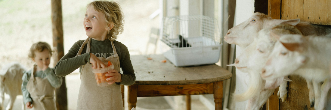 Types of Cheese Goat