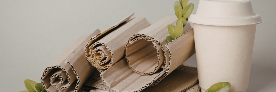 U.S. Packaging Tariffs: Paper Bags, Food Packaging, and Trade Policies