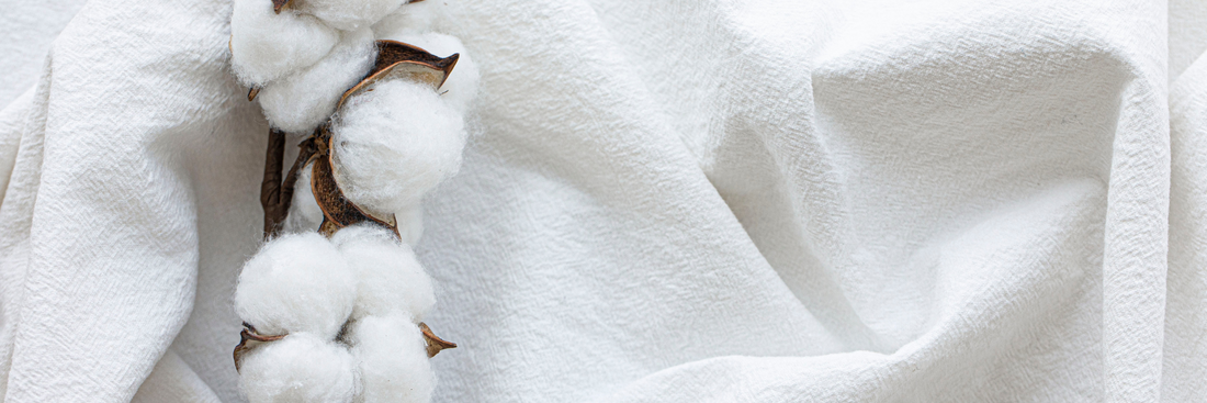 What is Organic Cotton? Benefits, Certifications, and Why It Matters for a Sustainable Future