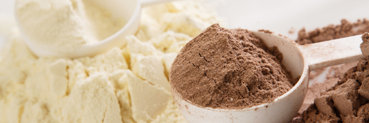 Whey Powder: Benefits, Uses, Nutrition & How to Choose the Best Whey Powder