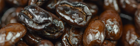 Why Are Coffee Beans Oily? How To Dry Oily Coffee Beans?