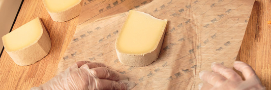 Why Cheese Spoils Faster in Plastic Wrap