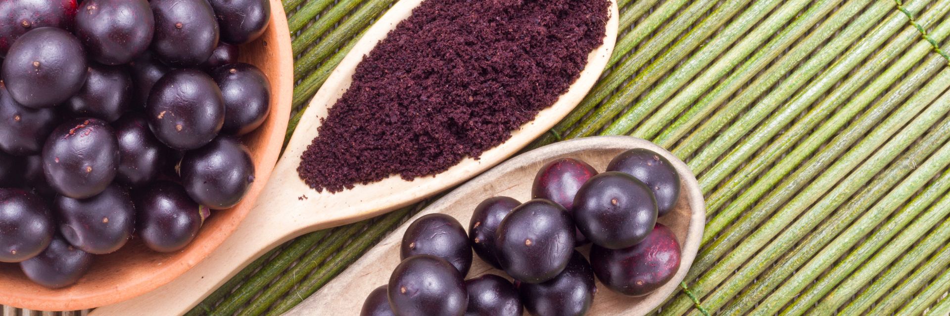 Acai Computer What Is Acai? Health Benefits, Uses, and How It Tastes – KimEcopak