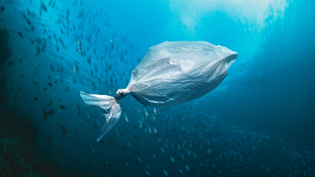 VPR Plastic: What It Is, How It Works & Why It Matters in Material Science