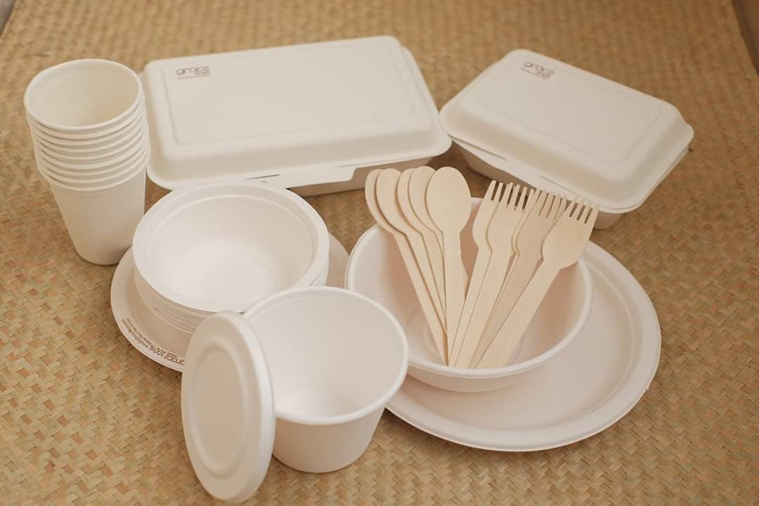 Why does bagasse make good food packaging and tableware material?