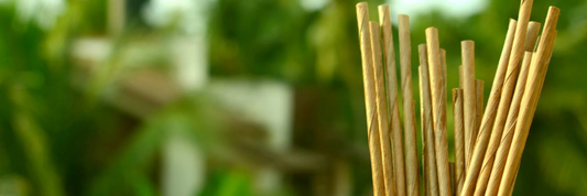 Coconut Straws: The Eco-Friendly Alternative to Plastic Straws