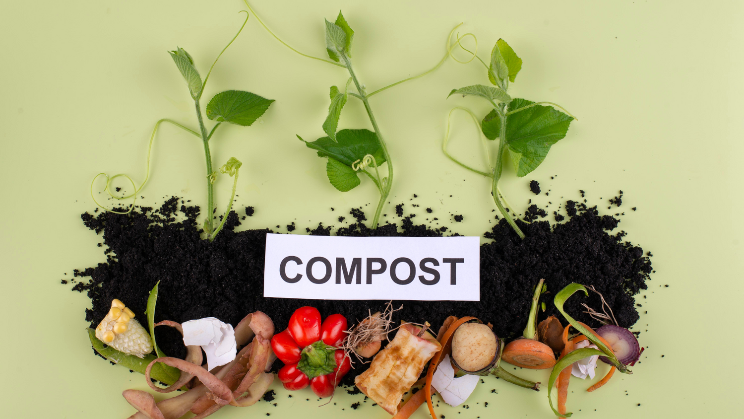 Guide to Understand Right About Compostable Materials – KimEcopak