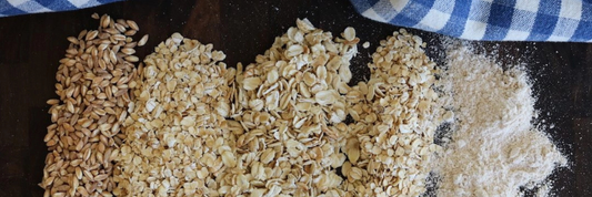 Types of Oats Explained: Groats, Steel-Cut, Rolled, Quick, and Instant
