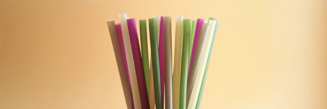 How to Choose the Right Bio Straw for Your Business