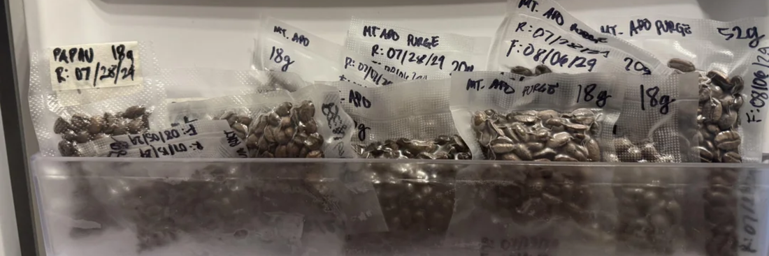 How to Freeze Coffee Beans